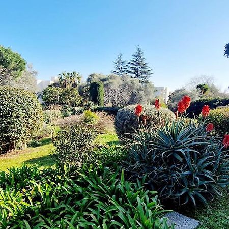 Studio Antibes Avec Piscine Exterior foto